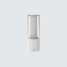 Load image into Gallery viewer, Motion Sensor Light

