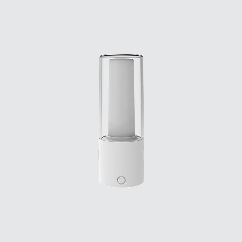 Motion Sensor Light